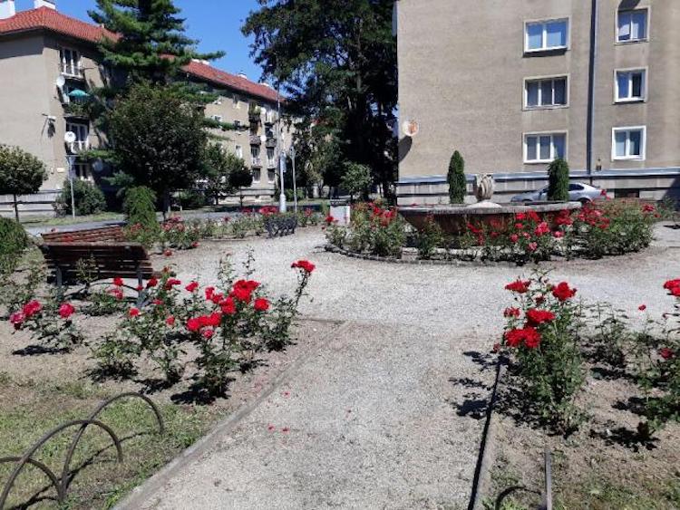 Informácia o priebehu kosieb počas 31. týždňa